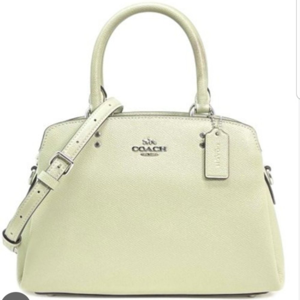 COACH LILLIE CARRYALL BAG